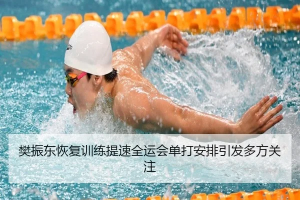 樊振东恢复训练提速全运会单打安排引发多方关注